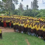 dc106417 e00b 423f 9168 042c062a0cfc